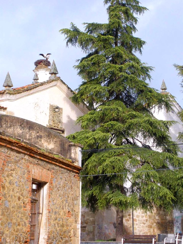 Plasencia - Convento de San Francisco 4
