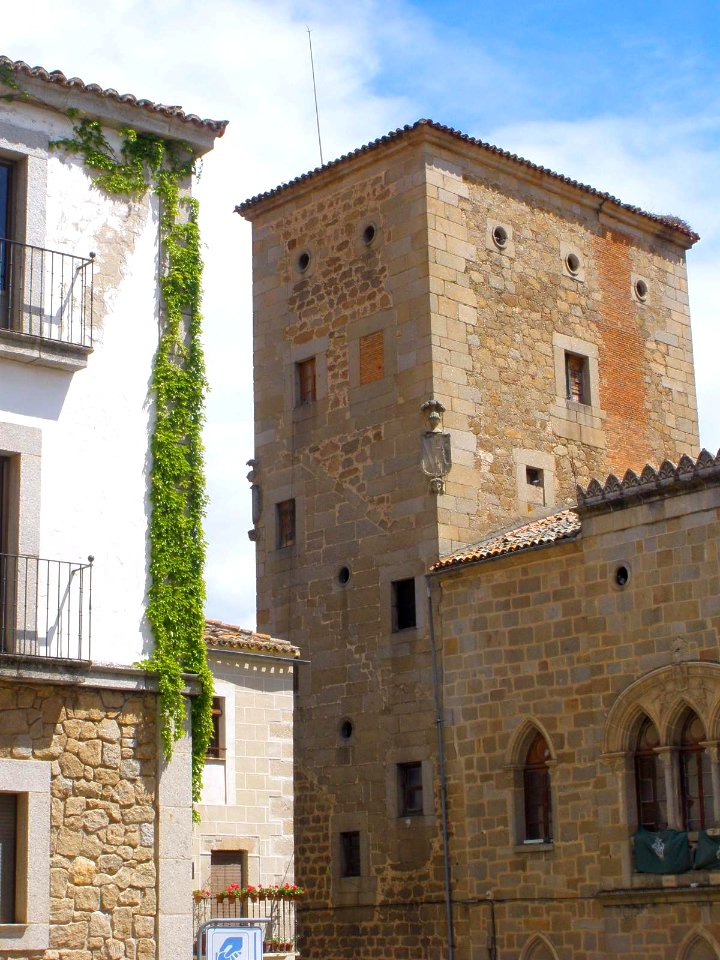 Plasencia - Palacio de los Monroy y Carvajal 3