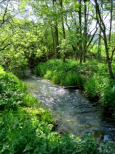 Plankenfels Landschaft 2