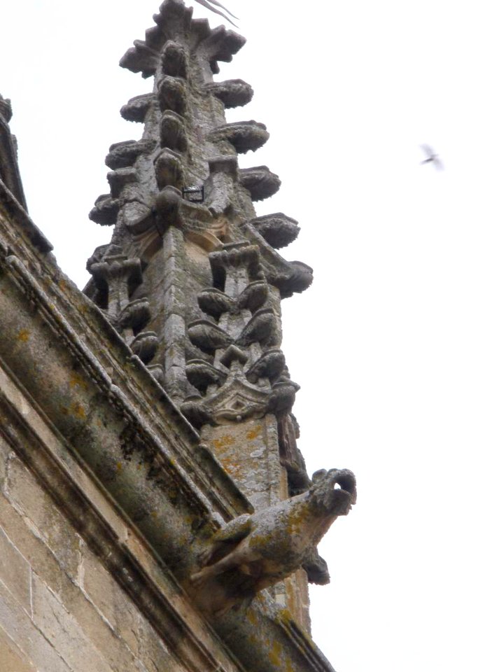 Plasencia - Catedral Nueva, exteriores 04
