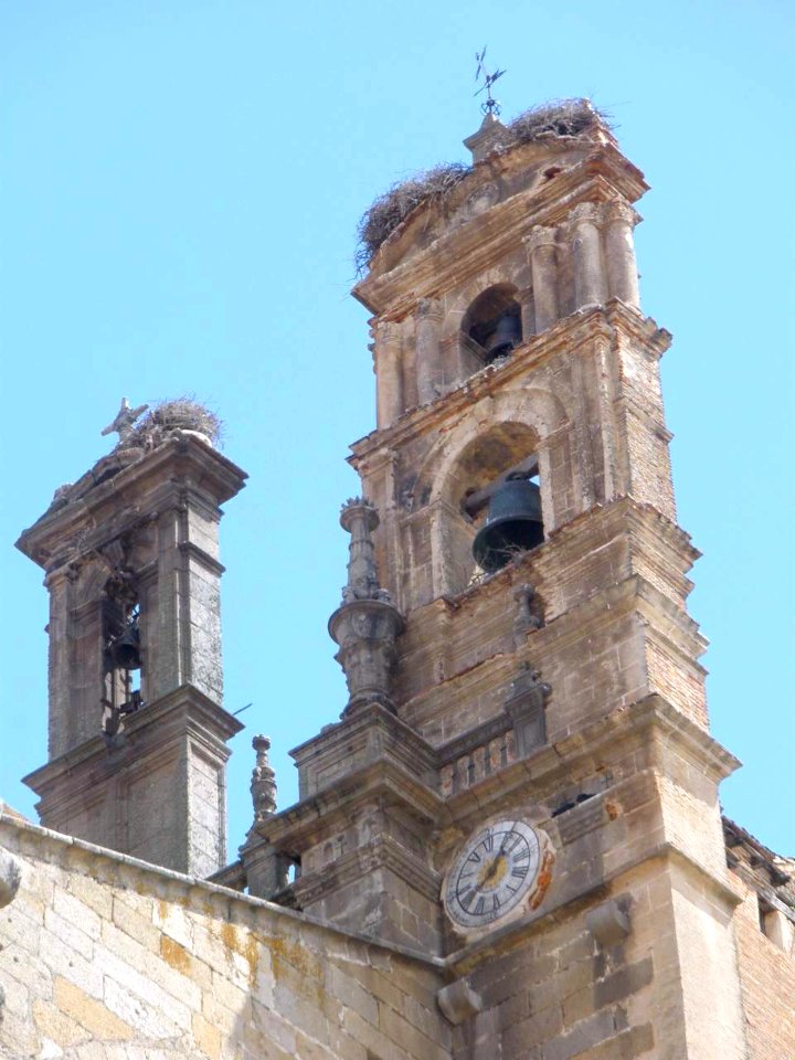 Plasencia - Catedral Nueva, exteriores 15