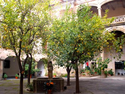 Plasencia - Palacio Episcopal, patio 04