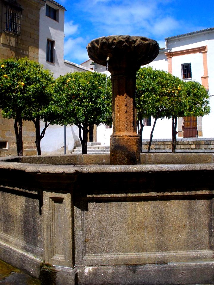 Plasencia - Plaza de la Catedral y fuente del Cabildo 3