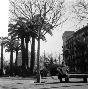 Plaatjes uit Barcelona Man leest krant op plein met palmbomen, Bestanddeelnr 908-2780