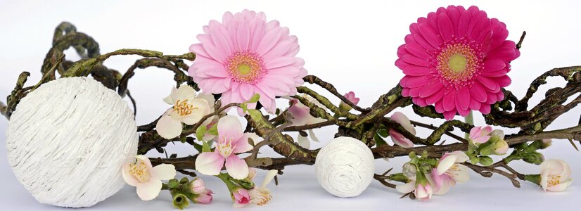 Pink spring decoration decoration
