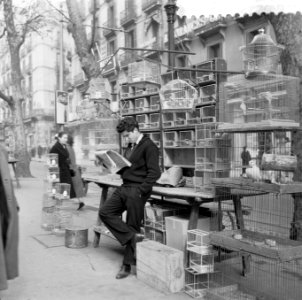 Plaatjes uit Barcelona, Bestanddeelnr 908-2807