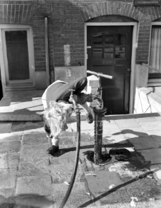 Plaatje meisje drinkt uit pomp, Bestanddeelnr 905-6765