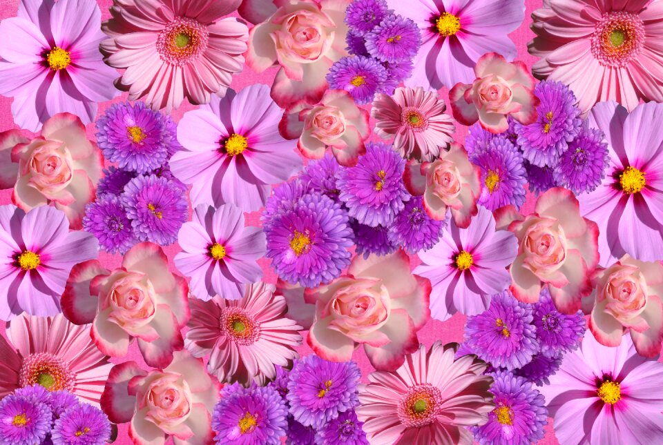 Nature color purple