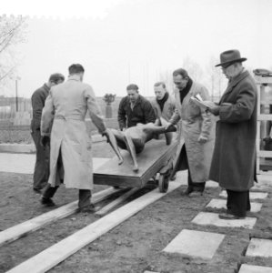 Plaatsen van beelden op het terrein van de Floriade, Bestanddeelnr 911-1047