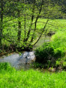 Plankenfels Landschaft 1