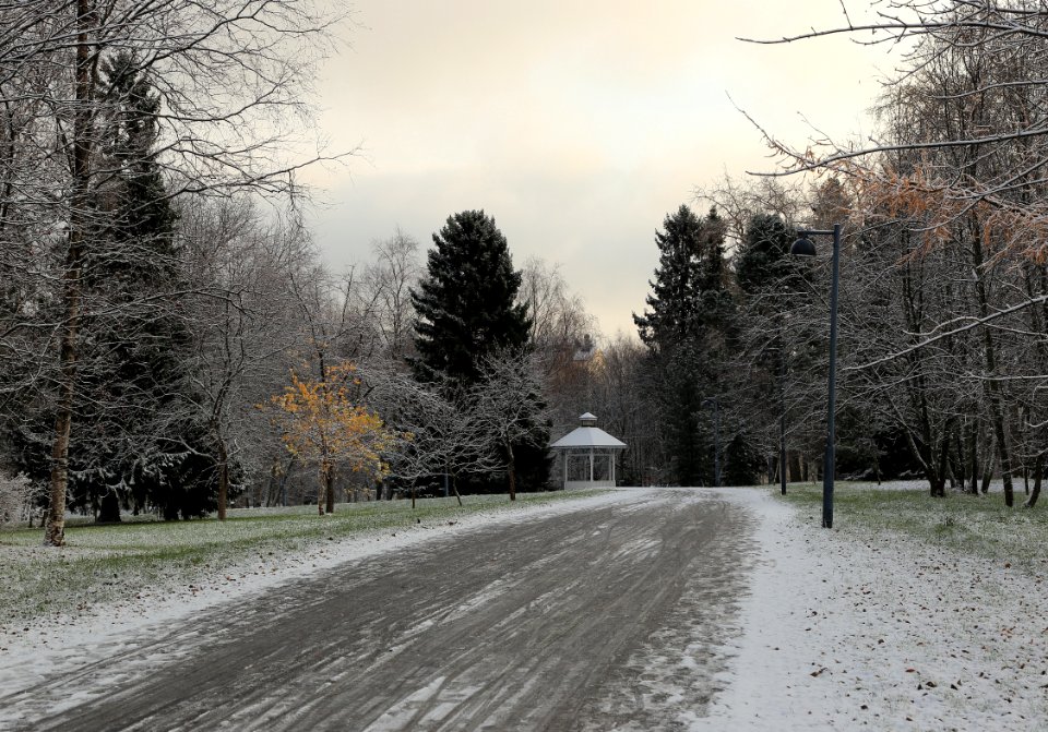 Plaatansaari Oulu 20161026 02