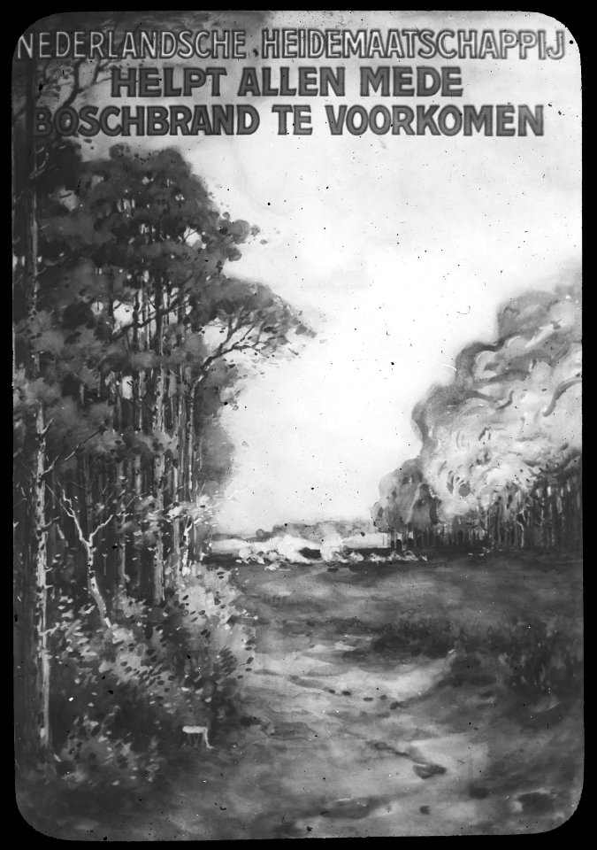 Plaat , Bestanddeelnr 193-0367