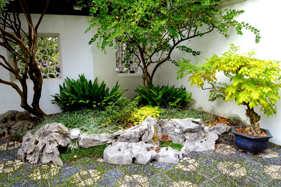 Plants and rocks - Lan Su Chinese Garden - Portland, Oregon - DSC01410