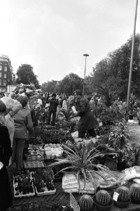 Plantenmarkt op Nieuwmarkt wethouder Kuipers reikt prijs uit, Bestanddeelnr 929-7276