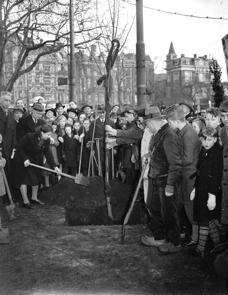 Planten Beatrixboompje Leidsche Bosje Amsterdam, Bestanddeelnr 901-4348