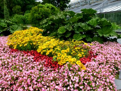 Planten un Blomen