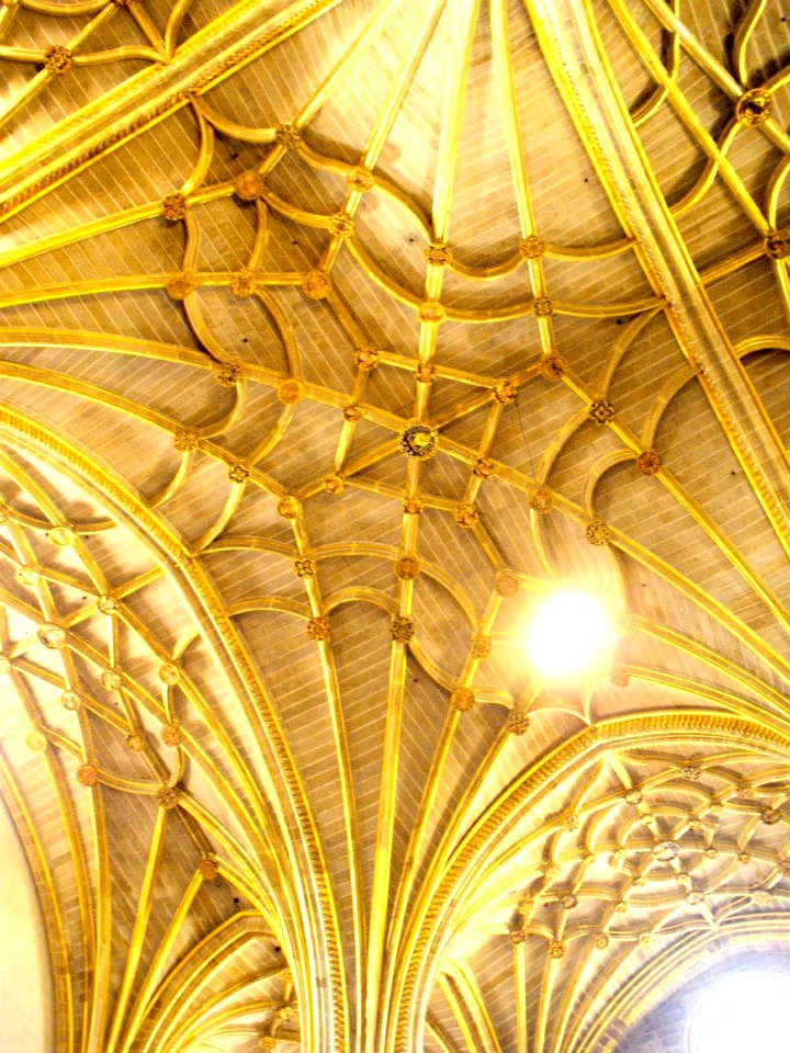 Plasencia - Catedral Nueva, interiores 07