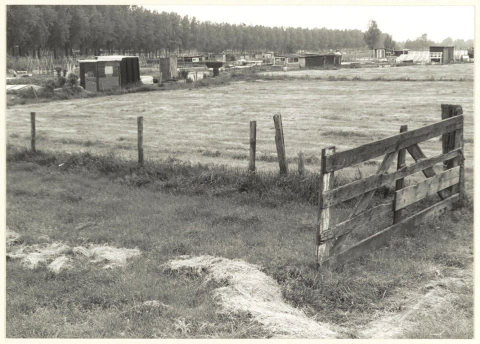Plaats waar volkstuinen gaan komen. Langs de bomen links loopt de Vondelweg. NL-HlmNHA 54005148