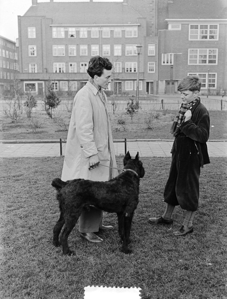 Plantsoenwacht in Amsterdam, Bestanddeelnr 905-0007