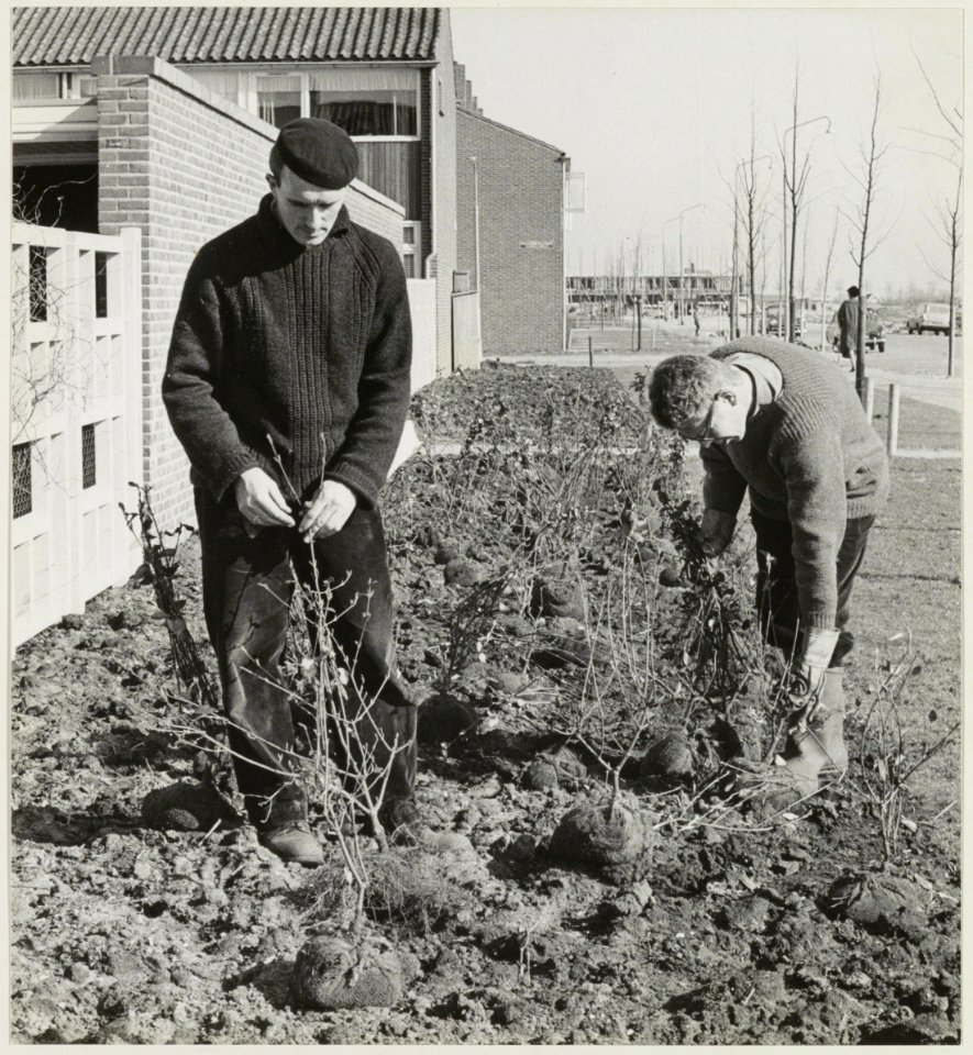 Plantsoenaanleg. NL-HlmNHA 54011793