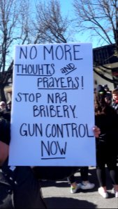 Placard sign at the Morristown New Jersey student protest March 24 2018 1 of 15