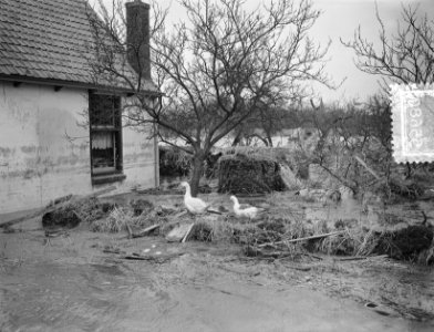 Plaatjes uit s Gravendeel, Bestanddeelnr 905-5680