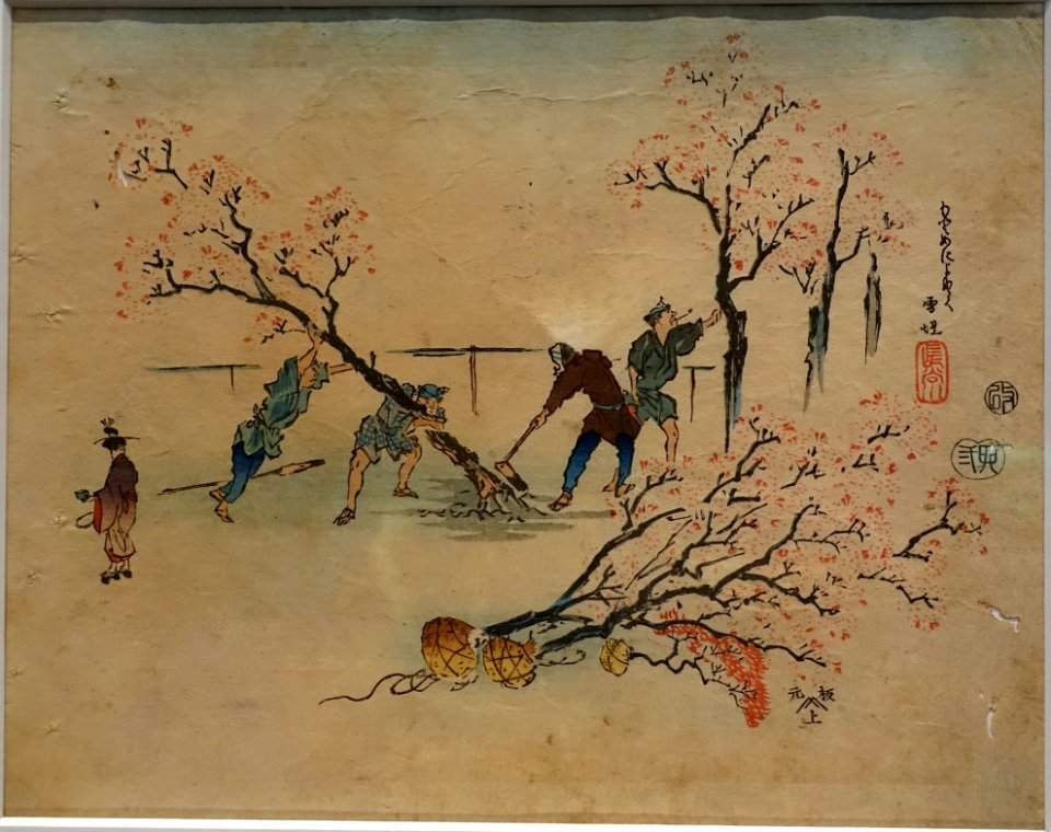Planting cherry trees in the Yoshiwara Pleasure Quarters, by Hasegawa Settei, Edo period, dated 1855 AD, print - Ishikawa Prefectural Museum of Traditional Arts and Crafts - Kanazawa, Japan - DSC09569