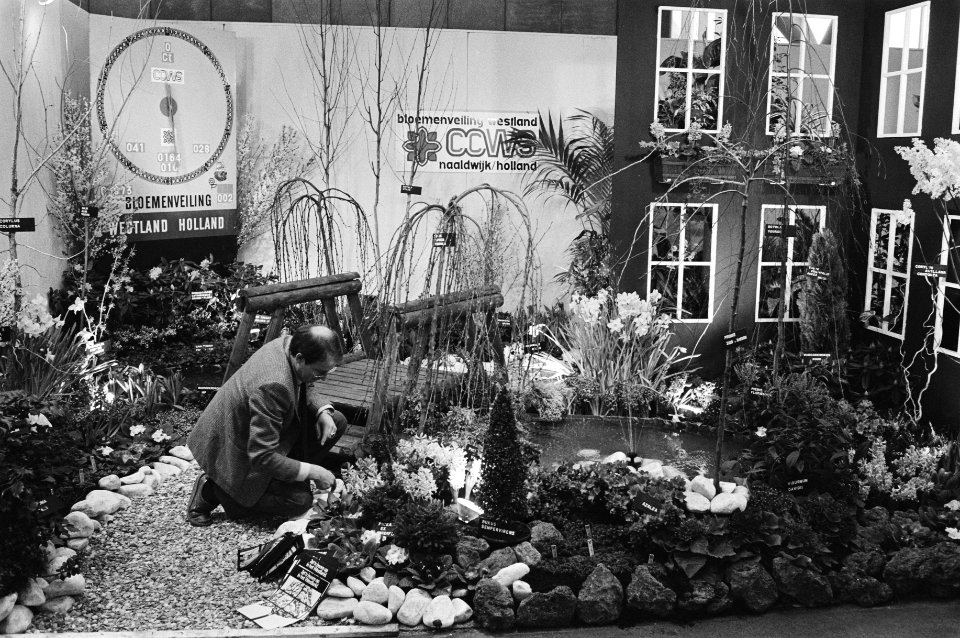 Planten rondom een vijver, Bestanddeelnr 932-4697