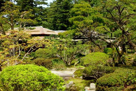 Plantings - Kenroku-en - Kanazawa, Japan - DSC09708