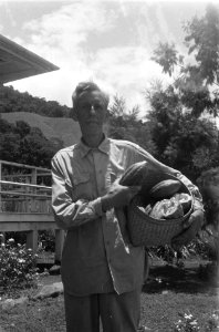 Planter met cacaobonen, Bestanddeelnr 1979