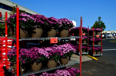 PlantRetailNursery