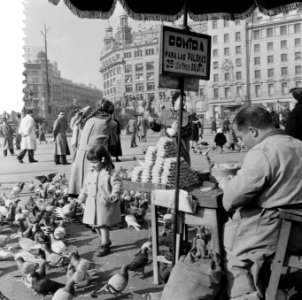 Plaatjes uit Barcelona, Bestanddeelnr 908-2810