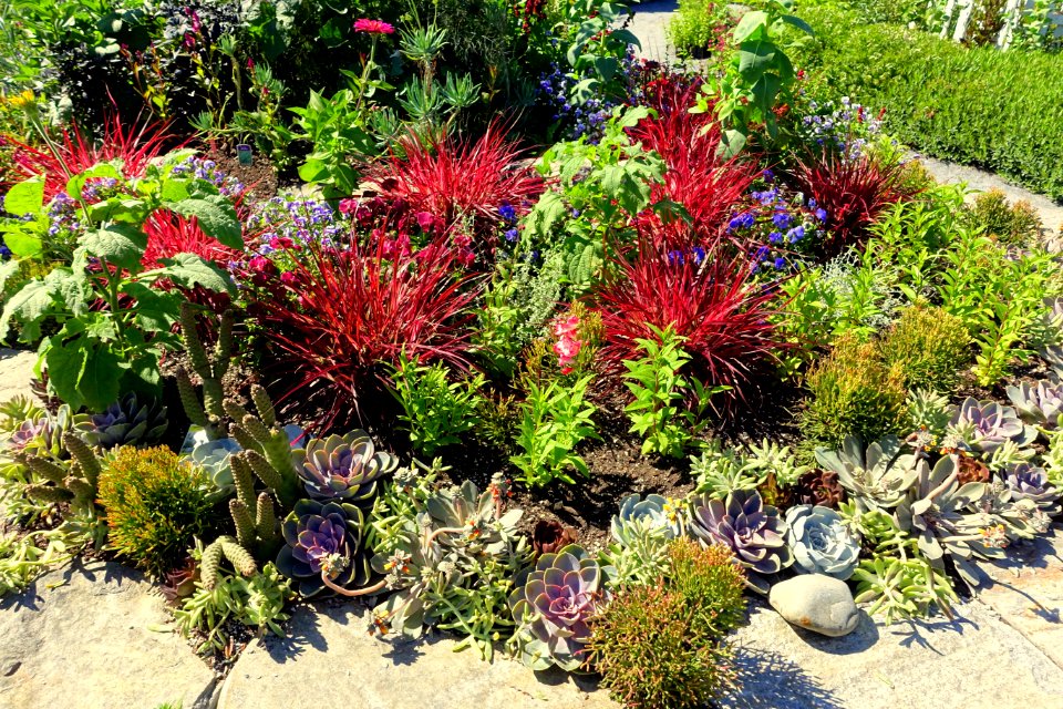 Planting - Coastal Maine Botanical Gardens - DSC03294