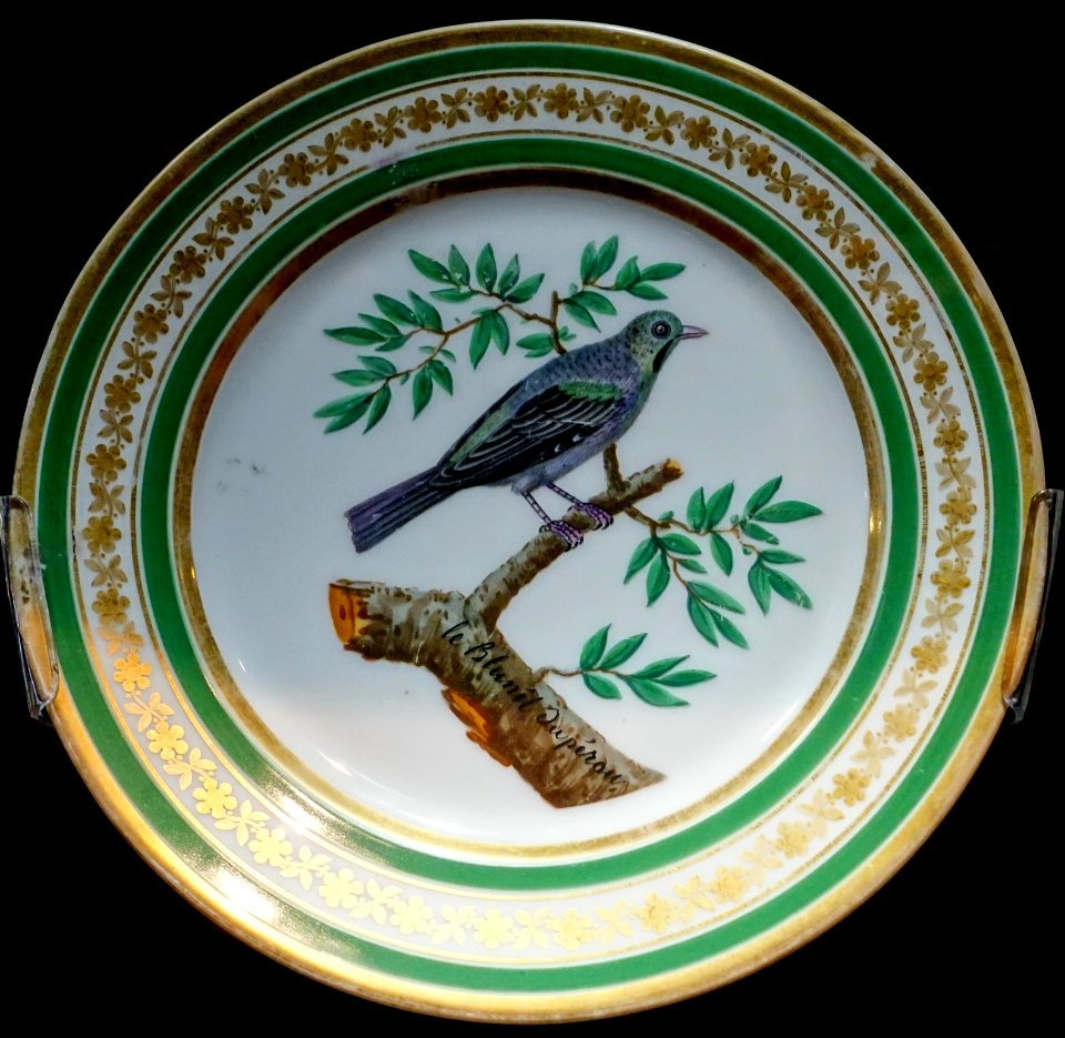 Plate depicting 'le Blunêl du pérou', Schoelcher Factory, Paris, c. 1805-1810, hard-paste porcelain - Montreal Museum of Fine Arts - Montreal, Canada - DSC08754