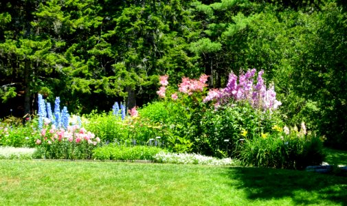 Planting - Thuya Garden - Northeast Harbor, Maine - DSC03691
