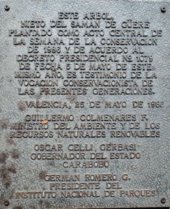 Placa Nieto del Saman de Guere