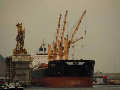 Platon (ship, 2011) IMO 9452555, Port of Amsterdam pic1