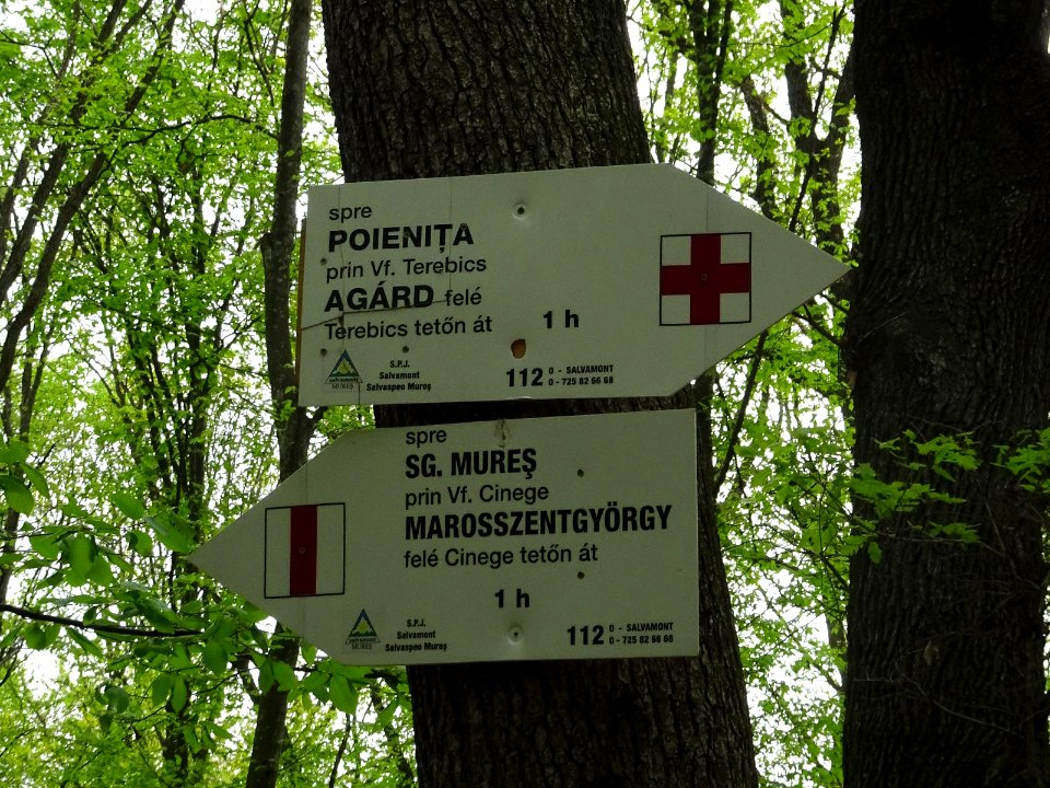 Platoul Cornesti hiking signs