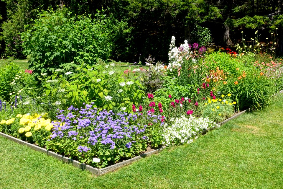 Planting - Thuya Garden - Northeast Harbor, Maine - DSC03725