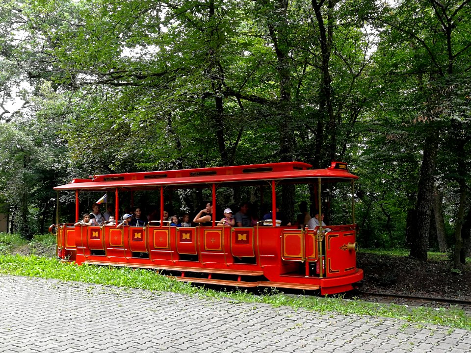 Platoul Cornesti Children's Railway tram
