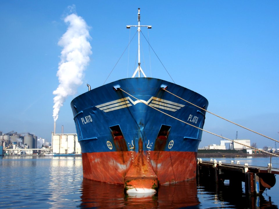 Plato, IMO 8822636, pic2
