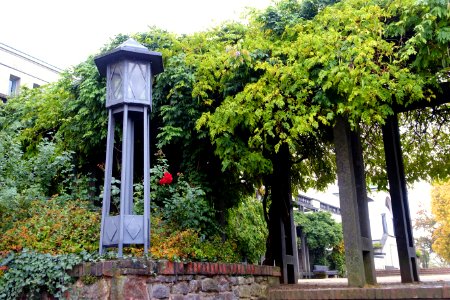 Platanenhain - Mathildenhöhe - Darmstadt, Germany - DSC01473