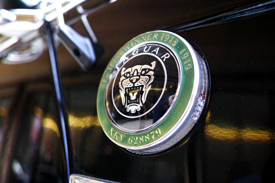 Reflection green logo