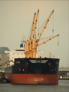 Platon (ship, 2011) IMO 9452555, Port of Amsterdam pic3