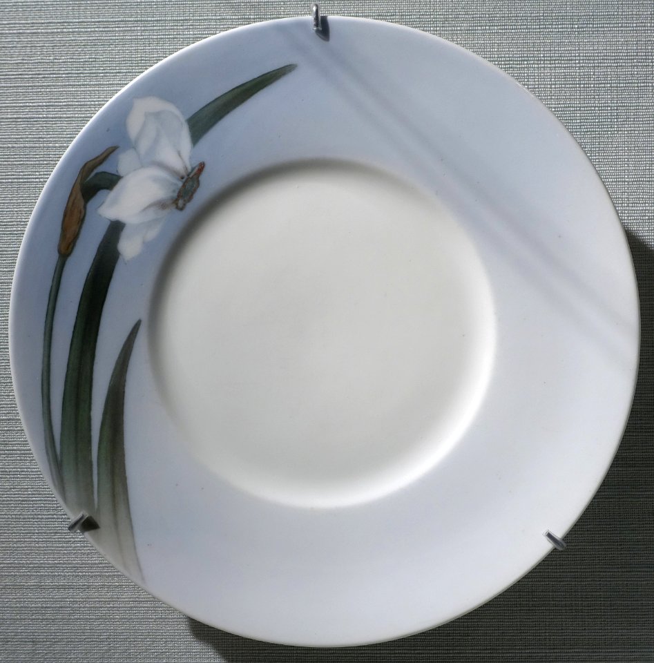 Plate with flower decoration, Royal Porcelain Factory, Copenhagen, c. 1905-1910, porcelain - Hessisches Landesmuseum Darmstadt - Darmstadt, Germany - DSC00755