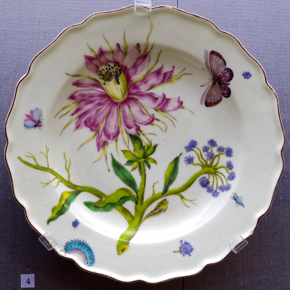 Plate with pink Cereus, Chelsea porcelain, c. 1755, soft-paste porcelain - California Palace of the Legion of Honor - San Francisco, CA - DSC02957