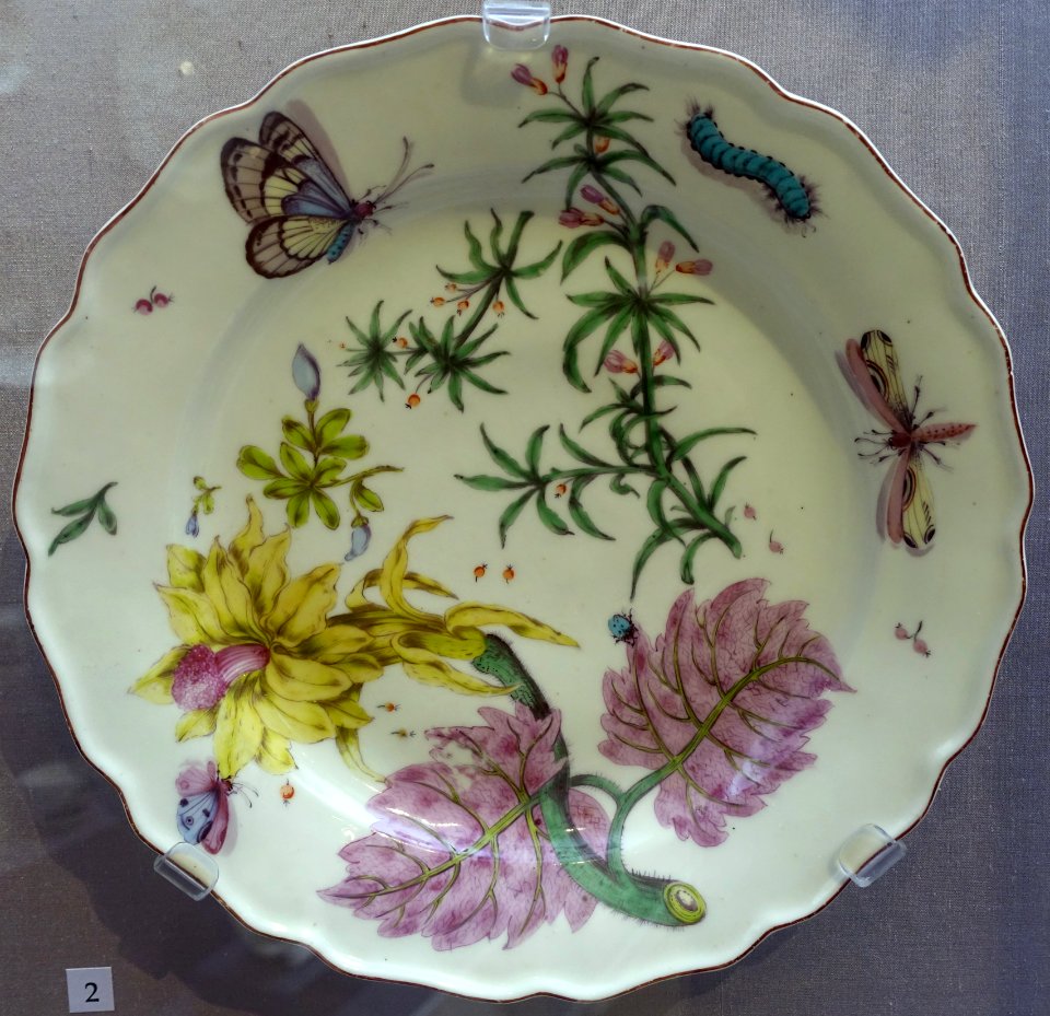 Plate with yellow Cereus, Chelsea porcelain, c. 1755, soft-paste porcelain - California Palace of the Legion of Honor - San Francisco, CA - DSC02952