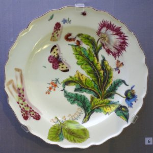 Plate with poppy and asparagus, Chelsea, c. 1755, soft-paste porcelain - California Palace of the Legion of Honor - DSC07611