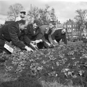 Planten van viooltjes op het Frederiksplein te Amsterdam, Bestanddeelnr 912-2824