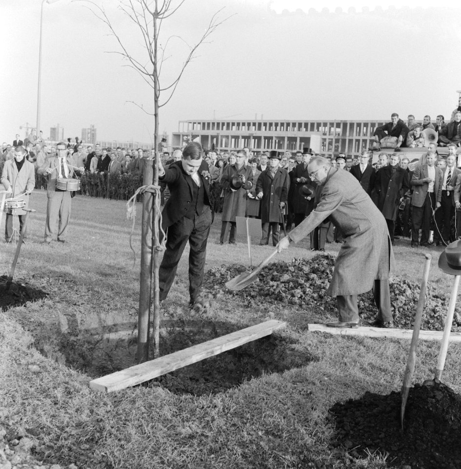 Planten van vrijheidsboom door studenten te Delft, Bestanddeelnr 911-6741